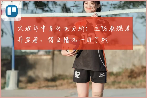 文班与申京对决分析：主防表现差异显著，得分情况一目了然