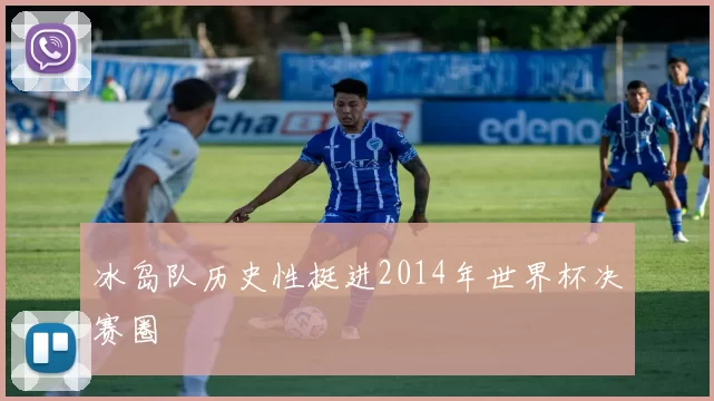 冰岛队历史性挺进2014年世界杯决赛圈