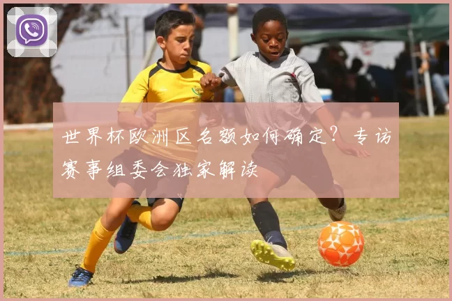 世界杯欧洲区名额如何确定？专访赛事组委会独家解读