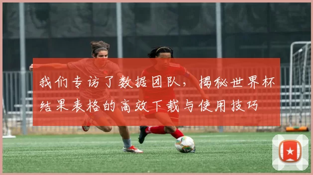 我们专访了数据团队,揭秘世界杯结果表格的高效下载与使用技巧