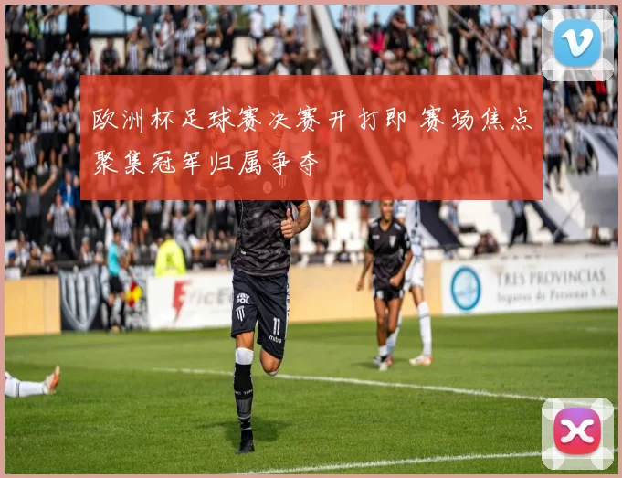 欧洲杯足球赛决赛开打即 赛场焦点聚集冠军归属争夺
