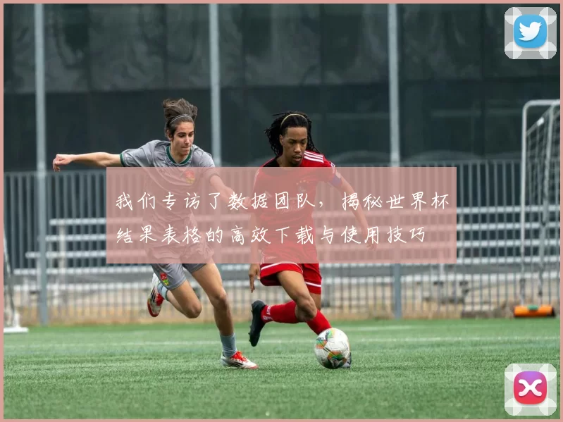 我们专访了数据团队,揭秘世界杯结果表格的高效下载与使用技巧