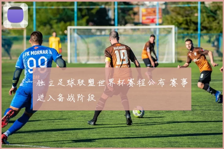独立足球联盟世界杯赛程公布 赛事进入备战阶段