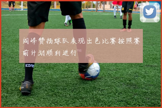 阎峰赞扬球队表现出色比赛按照赛前计划顺利进行