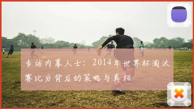 专访内幕人士：2014年世界杯淘汰赛比分背后的策略与真相