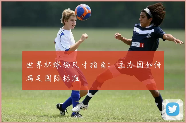 世界杯球场尺寸指南：主办国如何满足国际标准